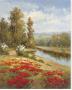 Poppy Vista I by Hulsey Limited Edition Print