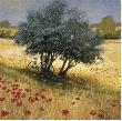 Under The Tree by Steve Thoms Limited Edition Print