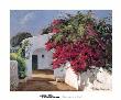 Buganvillas Al Sol Ii by Poch Romeu Limited Edition Print