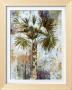 Palm by Sofi Taylor Limited Edition Pricing Art Print