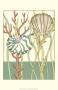 Shell Season Iii by Chariklia Zarris Limited Edition Pricing Art Print