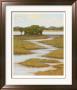 Silver Stream I by Kim Coulter Limited Edition Print