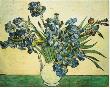 Bouquet Of Irises by Vincent Van Gogh Limited Edition Print