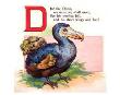Dodo by William Stecher Limited Edition Print