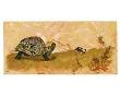 Turtle From Over In The Meadow by Ezra Jack Keats Limited Edition Print