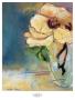 Magnolia Perfection I by Marina Louw Limited Edition Print