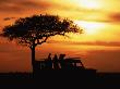 Tourists At Sunset By Acacia Tree, Masai Mara Game Reserve, Kenya by Anup Shah Limited Edition Print