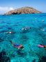Snorkelers With Island In Background, St. Croix, Virgin Islands by Lee Foster Limited Edition Print