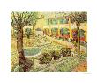 The Asylum Garden At Arles, C.1889 by Vincent Van Gogh Limited Edition Print