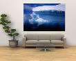 Icebergs In Wilhelmina Bay, Antarctica by Juliet Coombe Limited Edition Print