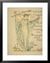 Masque Of Flowers by Walter Crane Limited Edition Pricing Art Print