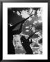 Men Hunting Doves by Cornell Capa Limited Edition Print