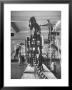 Teacher Introducing A Tyrannosaur Rex To Her Class While A Museum Attendant Cleans The Bones by Jack Birns Limited Edition Print