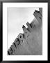 Workmen Atop General Motors Building At The Ny World's Fair by Alfred Eisenstaedt Limited Edition Print