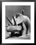 Young Boy Standing Atop Large Statue Of Dinosaur In Dinosaur Park Tourist Attraction by Alfred Eisenstaedt Limited Edition Print