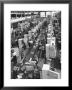 Refrigerators On Assembly Line At General Electric Plant by Alfred Eisenstaedt Limited Edition Print