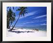 Girl On Beach And Coconut Palm Trees, Tambua Sands Resort, Fiji by David Wall Limited Edition Pricing Art Print