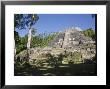 Highest Temple In Lamanai, Lamanai, Belize by Jane Sweeney Limited Edition Print