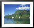 Cooks Bay, Moorea Island, Tahiti, French Polynesia by Steve Vidler Limited Edition Print