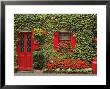 Ivy Covered Cottage, Town Of Borris, County Carlow, Leinster, Republic Of Ireland, Europe by Richard Cummins Limited Edition Print