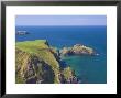 Carrick-A-Rede Rope Bridge To Carrick Island, Larrybane Bay, County Antrim, Northern Ireland by Neale Clarke Limited Edition Print