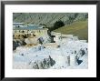 Mammoth Hot Springs And Terraces, Yellowstone National Park, Wyoming, Usa by Robert Francis Limited Edition Print