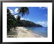 Castara Bay, Tobago, West Indies, Caribbean, Central America by Yadid Levy Limited Edition Print