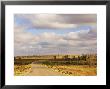 Outback Road, Near White Cliffs, New South Wales, Australia by Jochen Schlenker Limited Edition Pricing Art Print