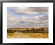 Outback Road, Near White Cliffs, New South Wales, Australia by Jochen Schlenker Limited Edition Print