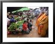 Buddhist Monks Collecting Alms In The Market Town Of Phum Swai Chreas, Eastern Cambodia, Indochina by Andrew Mcconnell Limited Edition Print