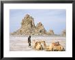 Tufa Towers At Lac Abhe, Afar Triangle, Djibouti by Tony Waltham Limited Edition Pricing Art Print