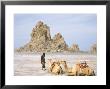 Tufa Towers At Lac Abhe, Afar Triangle, Djibouti by Tony Waltham Limited Edition Print