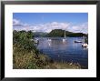 Loch Lomond, Trossachs, Strathclyde, Scotland, United Kingdom by Guy Thouvenin Limited Edition Pricing Art Print