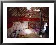 Inside Kazakhs Yurt, Tianchi (Heaven Lake), Tien Shan, Xinjiang Province, China by Anthony Waltham Limited Edition Print