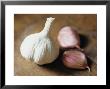 Studio Shot Of A Bulb (Head) And Individual Cloves Of Garlic by Lee Frost Limited Edition Print