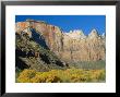 The Towers Of The Virgin, Zion National Park, Utah, Usa by Ruth Tomlinson Limited Edition Pricing Art Print
