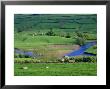 View To River At Reeth, Swaledale, Yorkshire Dales National Park, Yorkshire, England, Uk, Europe by Jean Brooks Limited Edition Print