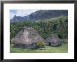 Traditional Houses, Bures, In The Last Old-Style Village, Fiji, South Pacific Islands by Anthony Waltham Limited Edition Print