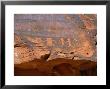 Ancient Indian Carvings Drawn Between 300Bc And 1150 Ad, Petroglyph Canyon, Nevada, Usa by Amanda Hall Limited Edition Print