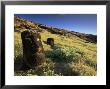 Moais, Cantera Rano Raraku, Easter Island (Rapa Nui), Chile, South America by Jochen Schlenker Limited Edition Pricing Art Print