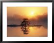 Sunrise, Kruger National Park, South Africa, Africa by Ann & Steve Toon Limited Edition Print