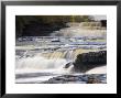 Lower Aysgarth Falls And Autumn Colours, Near Hawes, Wensleydale, Yorkshire, England by Neale Clarke Limited Edition Print