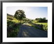 Countryside In Langstrothdale, Yorkshire Dales National Park, Yorkshire, England, United Kingdom by Patrick Dieudonne Limited Edition Print