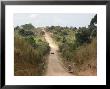 Dirt Road, Uganda, Africa by Ivan Vdovin Limited Edition Print