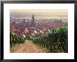 Dambach-La-Ville, Alsace, France by Doug Pearson Limited Edition Print