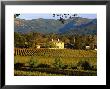 Estate And Vineyard, Napa Valley, California by John Alves Limited Edition Print