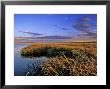 Benton Lake Nwr, Great Falls, Montana by Chuck Haney Limited Edition Print