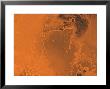 Lanae Palus Region Of Mars by Stocktrek Images Limited Edition Print