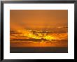 Sunrise, Maroochydore, Sunshine Coast, Queensland, Australia by David Wall Limited Edition Print