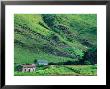 Kylemore Lake Shoreline, County Mayo, Connaught, Ireland by Richard Cummins Limited Edition Print